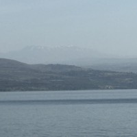 IMG_5487