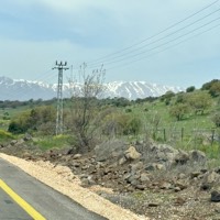 IMG_5488