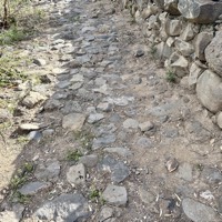 IMG_5496
