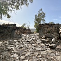 IMG_5497
