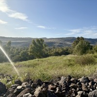 IMG_5499