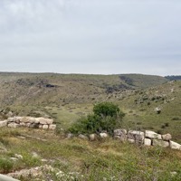 IMG_5512