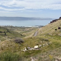 IMG_5516