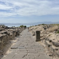 IMG_5520