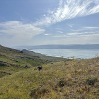 IMG_5524