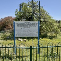 IMG_5558