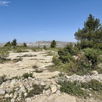 IMG_5568