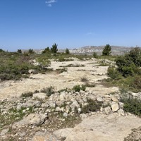 IMG_5570