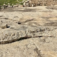 IMG_5574