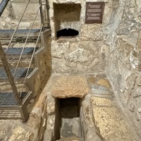 IMG_5593