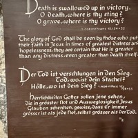 IMG_5594