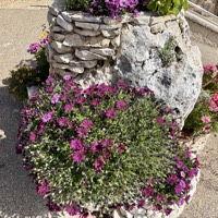IMG_5623
